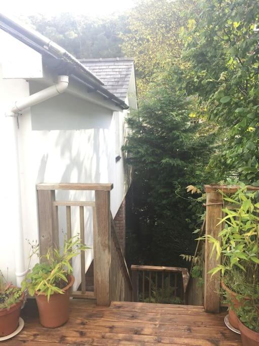 Stunning Views Of Ynyshir & Southern Snowdonia Machynlleth Exterior foto